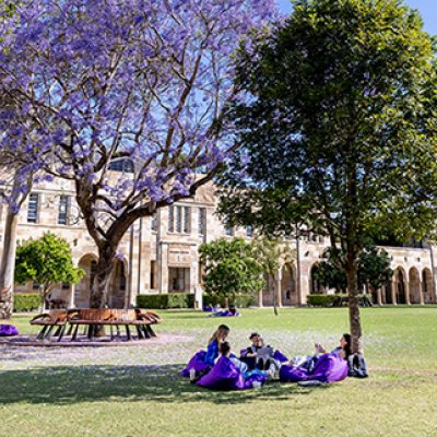 A green lawn in front of a sandstone building. People are sitting on purple beanbags under jacaranda trees on the lawn.